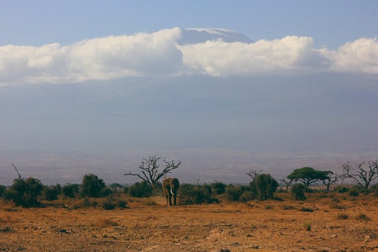 Faire l’ascension du Kilimandjaro lors d’un voyage en Tanzanie
