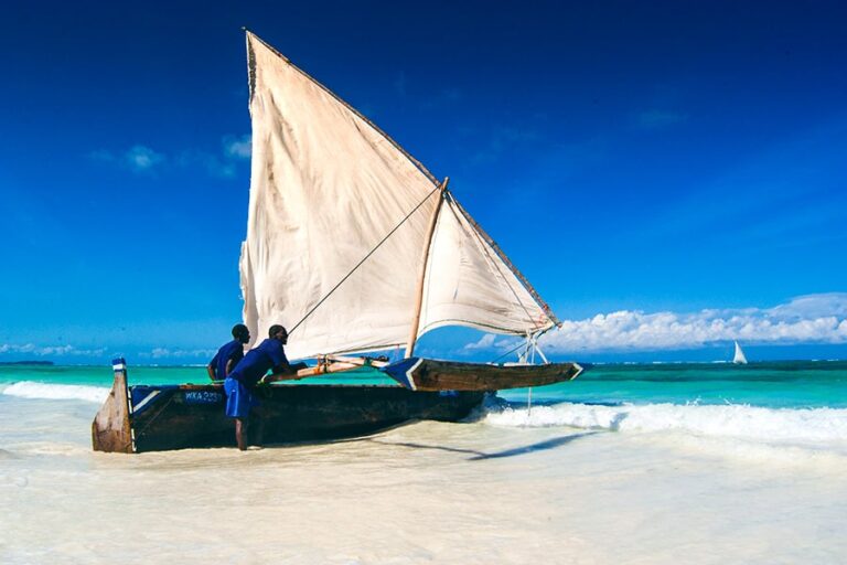 Que faire à Zanzibar ? 12 activités incontournables 